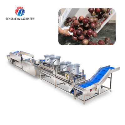 Revolutionize Your Production Process with Our Fruit And Vegetable Processing Line