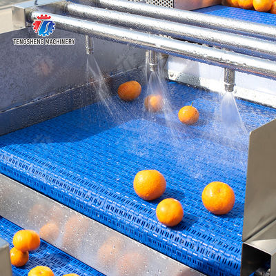 Automatic Fruit And Vegetable Processing Line Selection Washing Drying