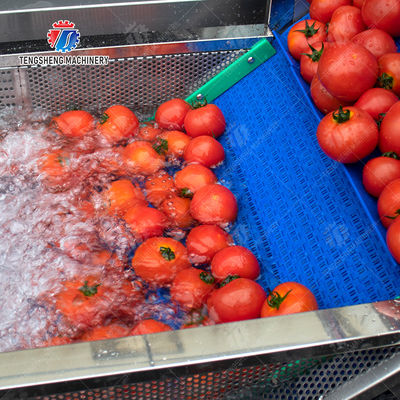 SS 380V Industrial Vegetable And Fruit Washing Machine