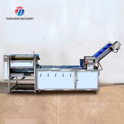 Citrus Stalk Eliminated Lemon Processing Machinery Industrial Air Bubble Brush