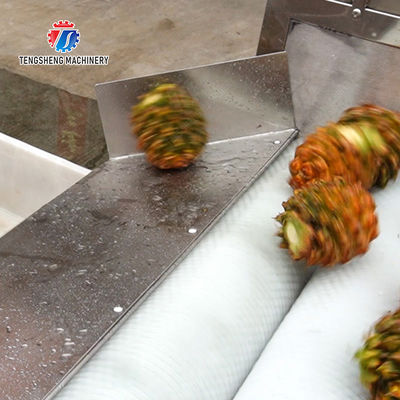 Orange Potato  Onions Ginger Potato Carrot Taro Sweet potato Yam Saiko persimmon papaya horseshoe Simple melon and fruit lifting and brush roller cleaning production line