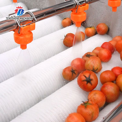 Orange Potato  Onions Ginger Potato Carrot Taro Sweet potato Yam Saiko persimmon papaya horseshoe Simple melon and fruit lifting and brush roller cleaning production line