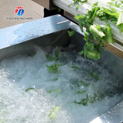 Orange Potato  Onions Ginger Potato Carrot Taro Sweet potato Yam Saiko persimmon papaya horseshoe 2025 Fruit and vegetable cutting, cleaning and air-drying production line