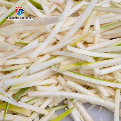 Ginger Potato Carrot radish Taro Cutting Shredding machine
