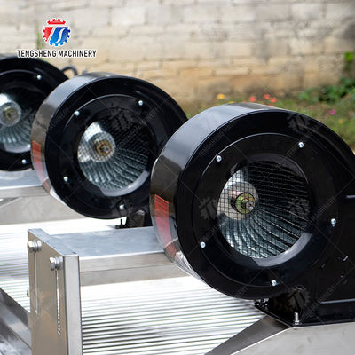 Fruits cleaning and drying production line Fruit Vegetable FOOD processing production Machine