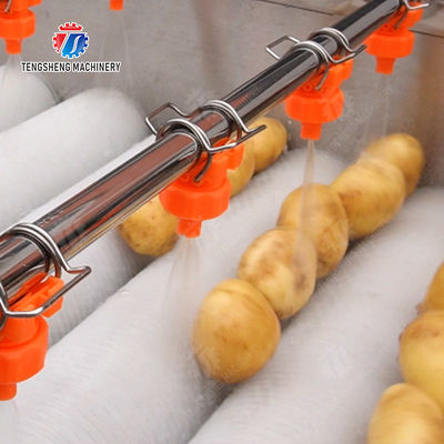 Orange Potato  Onions Ginger Potato Carrot Taro Sweet potato Yam Saiko persimmon papaya horseshoe Simple melon and fruit lifting and brush roller cleaning production line