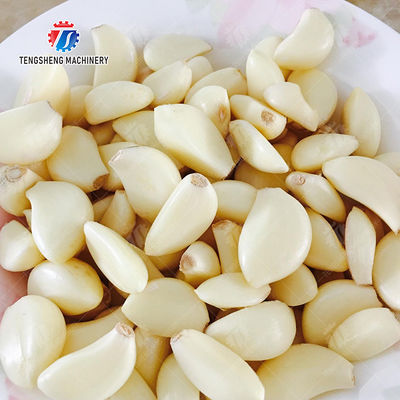 Garlic processing production Peeling Machine minced garlic production line