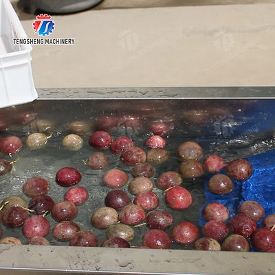 Fruit Orange Potatoes round tuber crops Carrots longitudinal root Onions Leafy vegetables Cabbage varieties Apple chieh-qua Ginger Potato Carrot radish lemon kiwi fruit Passion Pre foaming elevator