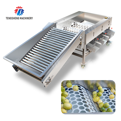 Apple Passion Máy phân loại trái cây và rau quả tangerine trái cây đam mê bơ hoa anh đào xoăn quả chuối quả mangosteen trái cây kiwi trái cây cam rau cải xoăn Celery cải xoăn