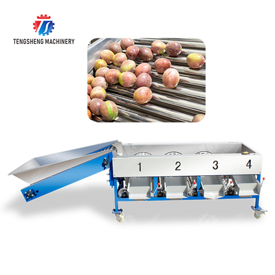 Quả chanh dây bơ anh đào Xoài lê chuối măng cụt kiwi Kiểm tra Phân loại Vận chuyển chế biến sản xuất Máy phân loại trái cây và rau quả