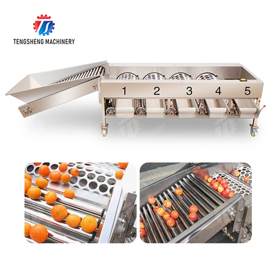 Trái cam Rau củ Saiko hồng xiêm chanh quýt chanh dây bơ anh đào Xoài lê măng cụt kiwi sản xuất chế biến Kiểm tra Phân loại máy phân loại
