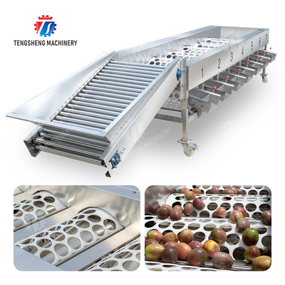 Xử lý sản xuất, Kiểm tra, Phân loại, Trái cây, Rau củ, Hành tây, Hồng Saiko, Táo, Khoai tây, Quýt, Chanh dây, Bơ, Anh đào, Xoài, Lê, Chuối, Măng cụt, Kiwi, Máy phân loại trái cây
