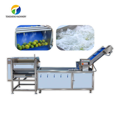 Máy chế biến chanh loại bỏ cuống cam quýt Bàn chải bong bóng khí công nghiệp