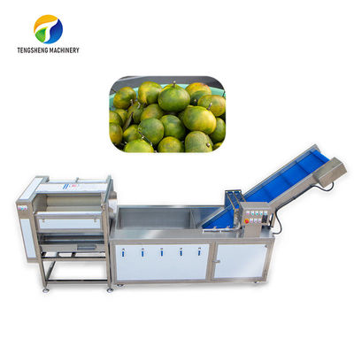 Chà bụi Phân loại Dây chuyền sản xuất Trái cây Bong bóng Kiểm soát Làm sạch Rau Dứa