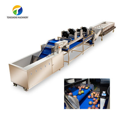Dây chuyền chế biến rau quả và trái cây cao áp Tengsheng Suy thoái tồn dư công nghiệp