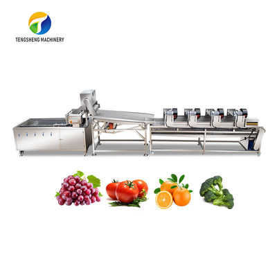 Dây chuyền chế biến rau quả 4.5KW Thiết bị thoát nước rung