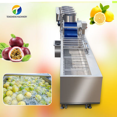 Dây chuyền sản xuất làm sạch và sấy khô bong bóng chanh dây